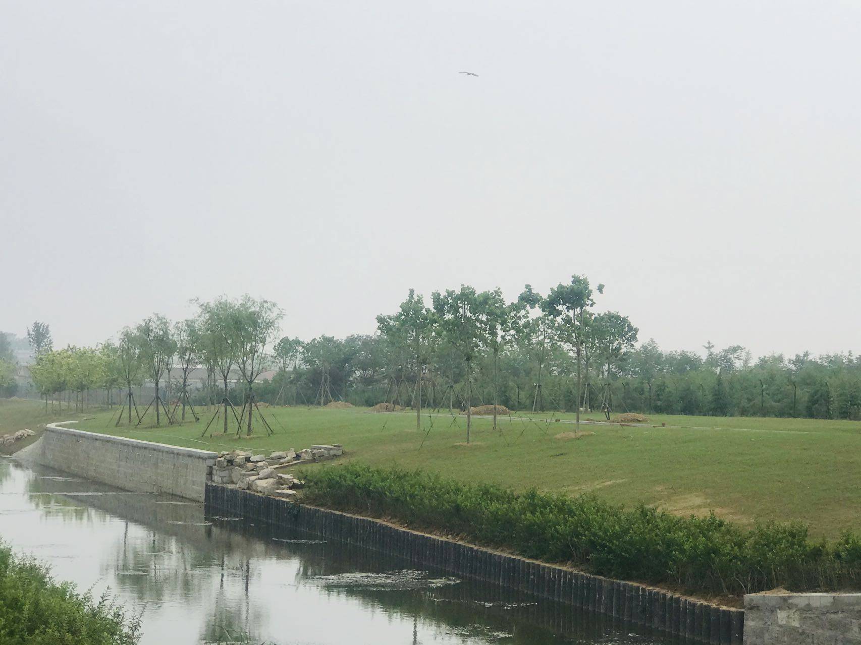 治理河道 打造生态水环境